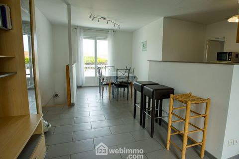 photo no. 12