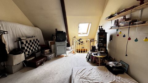 photo no. 9