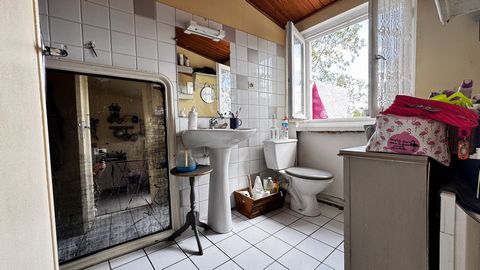 photo no. 12