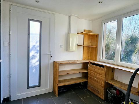 photo no. 8