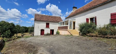 photo no. 15