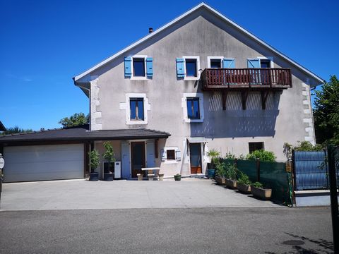 photo no. 9