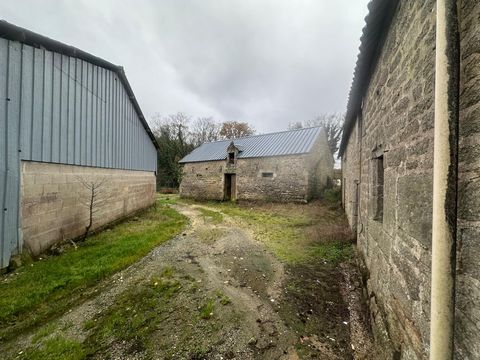 photo no. 7