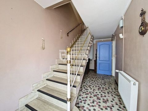 photo no. 9