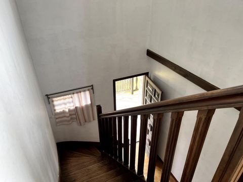 photo no. 3