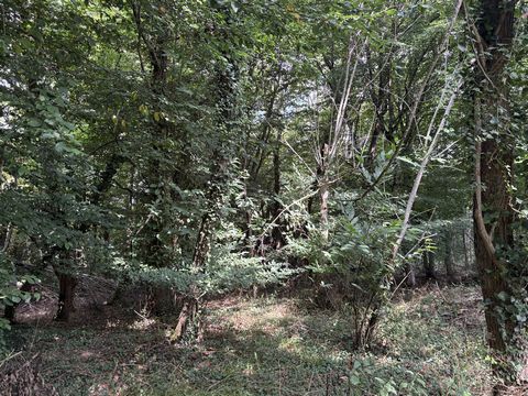 photo no. 16