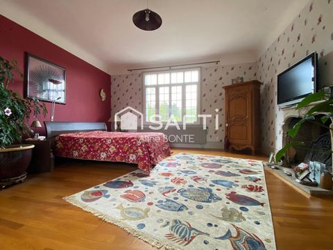 photo no. 9