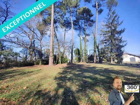 Terrain 4.000m² + bâtisse avec travaux