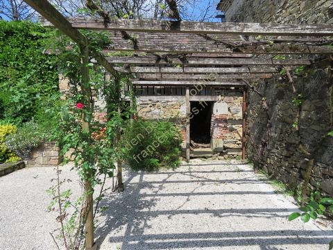 photo no. 14