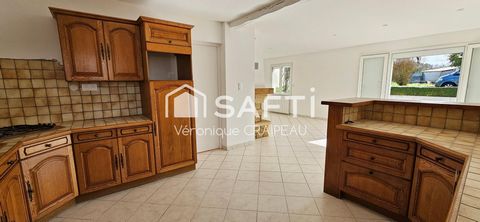 photo no. 10