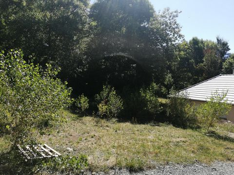 photo no. 2