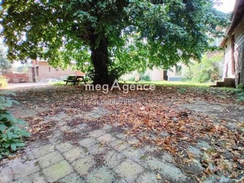 photo no. 15