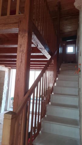 photo no. 17