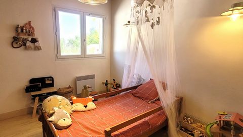 photo no. 13