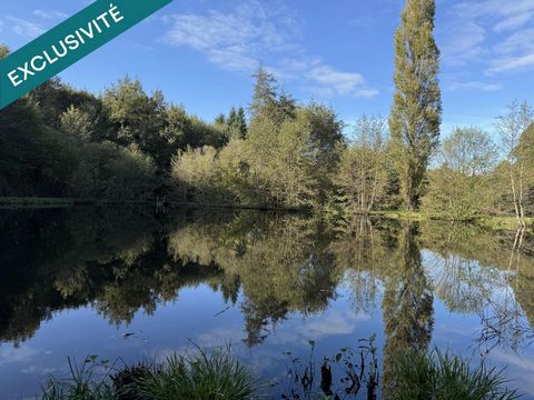 Étang aux normes , il n'y a plus qu'à !