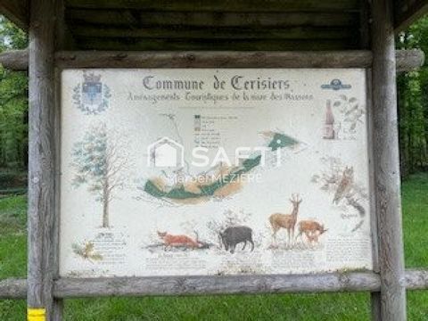 photo no. 3
