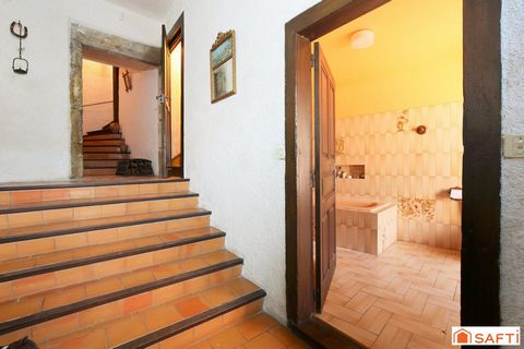 photo no. 2