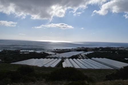 Makrigialos Terrain de 3.380m2 à Makrigialos. Il peut construire jusqu'à 200 m2. L'eau et l'électricité sont faciles à connecter. Il bénéficie d'une vue sur la mer et la montagne et dispose d'un parking dans la rue.