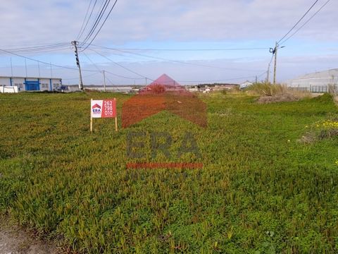 Industrial plot in Porto de Lobos - Peniche. With 5.250 sq.M of total area. Inserted in an industrial zone. Good access to the IP6 expressway and the A8 motorway. *The information provided is for information purposes only, not binding, and does not e...