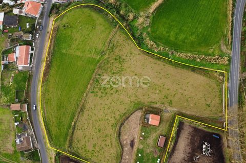 Identificação do imóvel: ZMPT554426 Rustic land with 16,420 m2, located near the urban area (center of the parish of Feteiras), consisting of two parcels, one with 6,920 m2 facing the Rua do Espigão and the other with 9,500 m2 facing the Regional Roa...