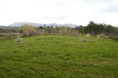 Javea Homes is pleased to offer this agricultural land which is ideal for anyone wishing to live off the land in mobile accommodation. This land has water connected and is fenced with entry via double gates. The land has established olive trees and h...