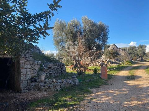 APULIA. VALLE D'ITRIA TRULLI WITH SECULAR OLIVE GROVE Coldwell Banker offers for sale, exclusively, two characteristic trulli between Martina Franca and Villa Castelli, immersed in a centuries-old olive grove. Good location of the property: Martina F...