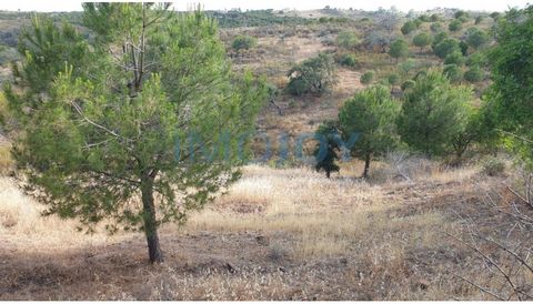 Land with 1280m2, with some relief not very accentuated. Some native trees, near a small village, where you can do your agricultural activities, as well as other outdoor activities. The land is located in full nature, between Castro Marim, the Belich...