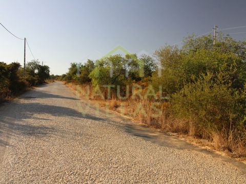 Discover the Serenity of the Algarve's Nature in Two Exclusive Rustic Buildings Explore tranquillity and natural beauty on this unique rustic plot located in a serene area of Estoi. With a total extension of 1,960m2, this property consists of two dis...