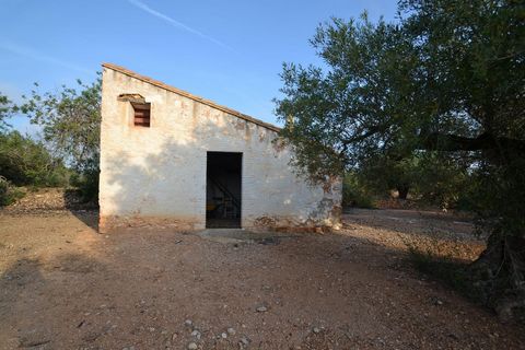 Se trata de una finca de 17.031m² situada entre L’Ampolla, plantada de olivos y algarrobos con una pequeña casa de campo a reformar.