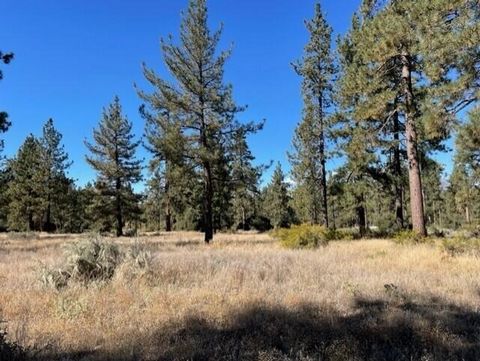Beautiful Garner Valley lot with sunny meadows and abundant towering pine trees. Enjoy all four seasons in this wonderful community. The adjacent 4.5 acre lot is also available for sale for the possibility of almost 9 acres of prime land to build a d...