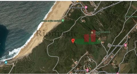 Rustic land with slope located 500m from the sea line of Salgados beach with an area of 8,350m2. Excellent opportunity!!! NO FEASIBILITY OF CONSTRUCTION*** Energy Rating: Exempt Rustic land with slope located 500m from the sea line of Salgados beach ...