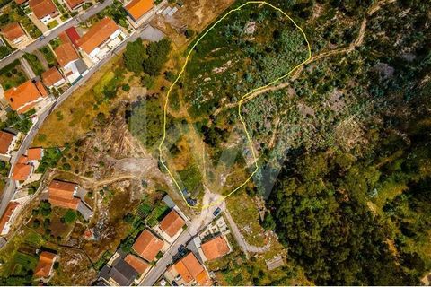 This plot of land with 7830 m2, with access by 2 streets, is located in a very quiet residential area. It is, however, located in a very central location in the parish of Parada de Todeia, since it is: - 1.3 Km from the train station 