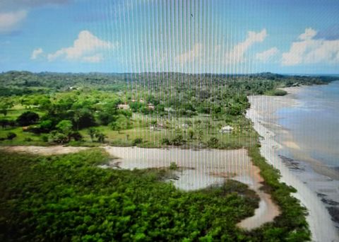 Fattoria con spiaggia privata a Itaparica, Bahia. Spettacolare proprietà per investimento in un resort o condominio. Ha una laguna, una sorgente e una spiaggia esclusiva! Oggi conta 2 case di supporto.