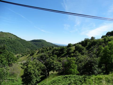 photo no. 3