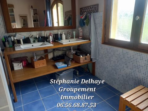 photo no. 17