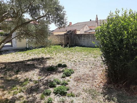 photo no. 1