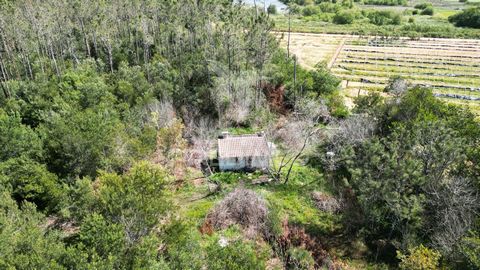 Rustic land with 5,010 m2 located 4 km from Almograve beach. It has water from the irrigation canal, supplied by the Association of Beneficiaries of Mira. Electricity nearby. It has a building with 25 m2 not registered.   Distances: Odemira - 15 km B...