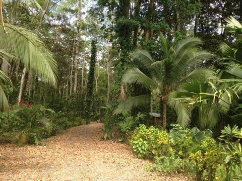 Woonkavels met een grootte tussen 1609 m2 of 0,30 - 0,40 hectare unieke bosschoonheid, gelegen naast de ingang van het Cahuita National Park aan de kant van Puerto Vargas. De toegang is via de hoofdweg die van Cahuita naar Puerto viejo loopt en de st...