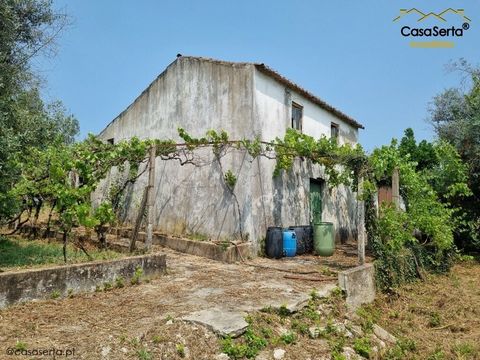 Boerderij in de buurt van Sertã met 3684 m2, met verschillende fruitbomen en een uitstekende wijngaard. Het stenen huis zal worden herbouwd, waardoor het mogelijk zal zijn om een gepersonaliseerde ruimte te creëren die is aangepast aan uw behoeften e...