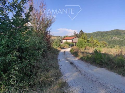 Manciano (GR), 6 km from Manciano and 10 km from Saturnia: Agricultural company of approximately 28 hectares with an independent farmhouse on two levels composed of: - About 28 hectares of medium hilly land divided into: - Approximately 13 hectares o...