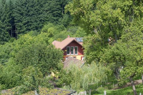 Vakantiewoning Jolly Joker Huis midden op een groot weidegrondstuk aan de rand van het bos. Woon- en slaapkamer met een geweldig uitzicht. Rustige locatie.