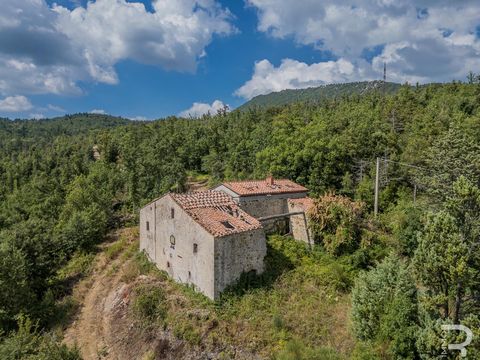 Questa straordinaria proprietà mozzafiato è situata in una posizione assolutamente appartata. L'imponente dimora è composta da un edificio principale e da altri due edifici e si estende su 70 ettari di terreno. È un luogo di ritiro e tranquillità, ma...