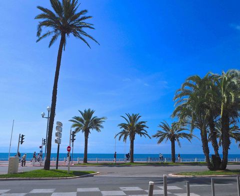 Studio-Apartment mit Küche und Duschbad im Erdgeschoss einer Eigentumswohnung, 2 Schritte von der Promenade des Anglais entfernt. Rue Meyerbeer Möbliert verkauft und vermietet für 690 Euro pro Monat. 7/8 % jährliche Bruttorentabilität. Große Rendite,...