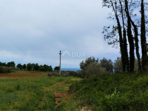 ISTRIA, POREČ (okolice) - Działka budowlana z widokiem na morze Na zachodnim wybrzeżu Istrii, otoczona bujną śródziemnomorską roślinnością, która łączy się z gajami oliwnymi, winnicami i polami, znajduje się gmina Kaštelir-Labinci. Dwa miejsca - Kašt...