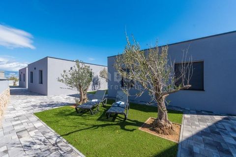 Location: Zadarska županija, Vir, Vir. ZADAR, VIR - Complex of 8 modern and luxurious villas with swimming pool It is a private complex owned by a legal entity. A complex consisting of 8 luxuriously and modernly decorated villas with a swimming pool,...