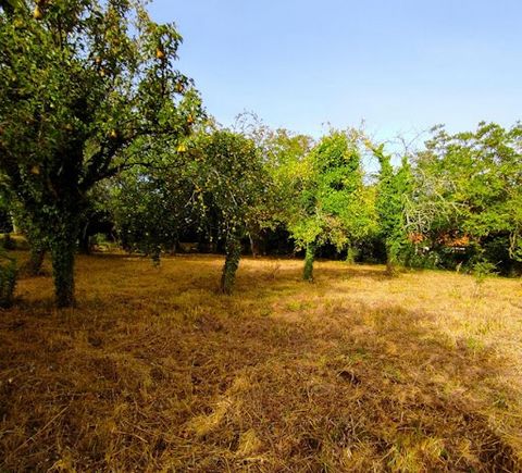 SAINT JULIEN L'ARS - A 15 min de Poitiers. Rare sur le secteur : A vendre joli terrain à bâtir non viabilisé en centre-ville, hors lotissement, idéalement placé au calme, au fond d'une impasse. La dimension du terrain est de 834m² libre de constructe...