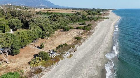 Propriété de 5 hectares les pieds dans l'eau. Villa 4 chambres + 1 appartement ( environ 200 m² habitable ) Une piscine. Une Tour génoise répertoriée mais pas classée sur le terrain, une façade d'environ 300 m linéaire de plage. Propriété rare à la v...