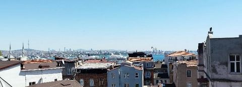 El apartamento City Center está situado en la zona de Tophane de Estambul El piso está a poca distancia de la calle Istiklal de Taksim La parte superior del piso es Istiklal La desventaja es el Galataport - lado del mar El piso está situado en la últ...