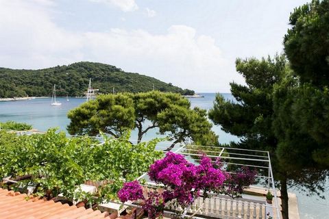 Boasting splendid sea view and enjoying a quiet setting just 15 meters from the beach, Apartments Franka Saplunara are located in the small village of Saplunara on Mljet Island. Kindly note: Free private parking is provided. Owners can offer you wash...