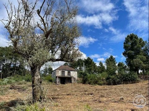 Der beschriebene Bauernhof präsentiert sich als idealer Zufluchtsort für diejenigen, die die Ruhe der Landschaft suchen, ohne auf die Nähe zu städtischen Annehmlichkeiten zu verzichten. Mit 4988 m² Land bietet es eine weitläufige Grünfläche und einen...